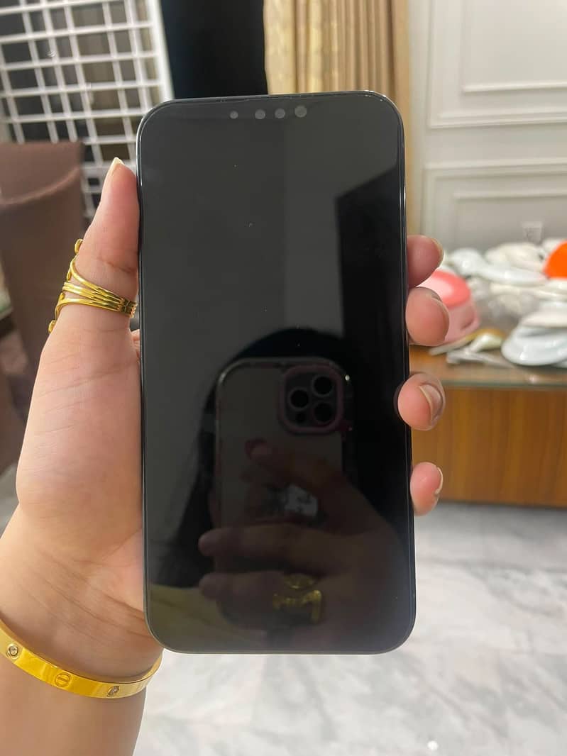 iPhone 13 Pro Max 6