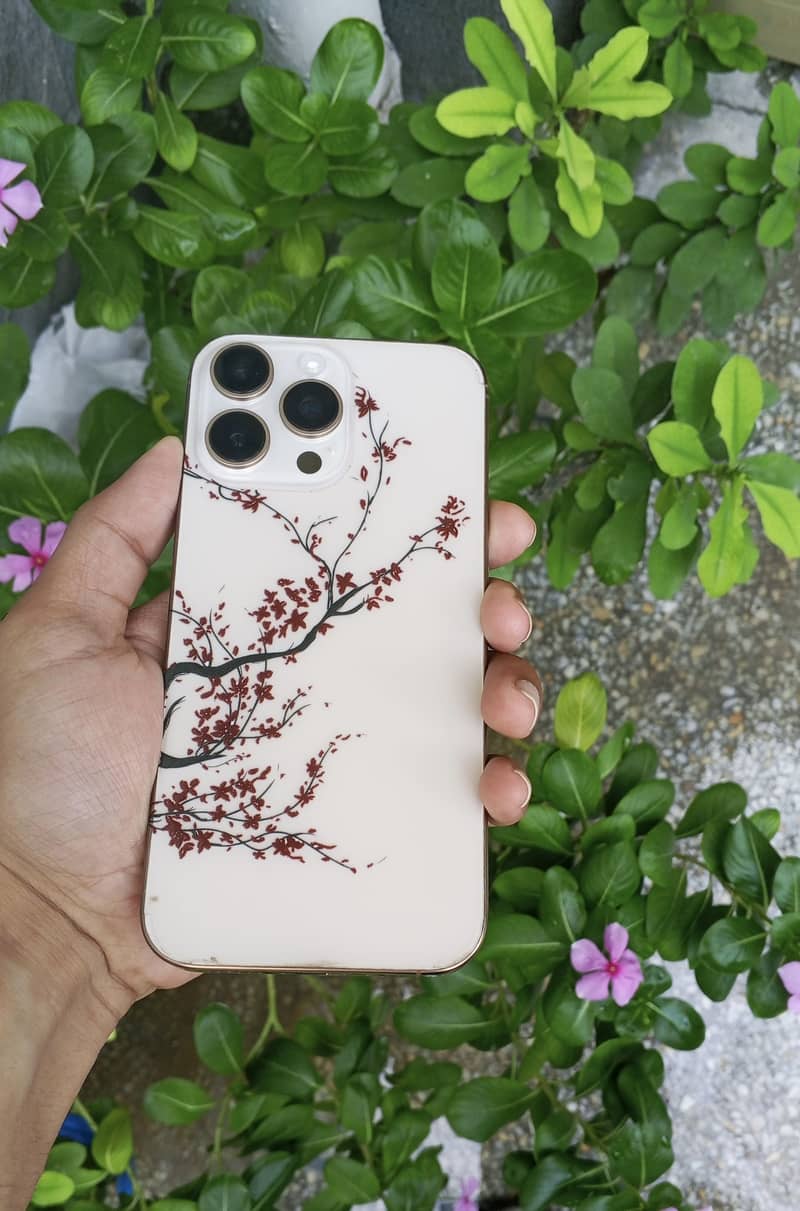 Apple iPhone 16 Pro Max 0