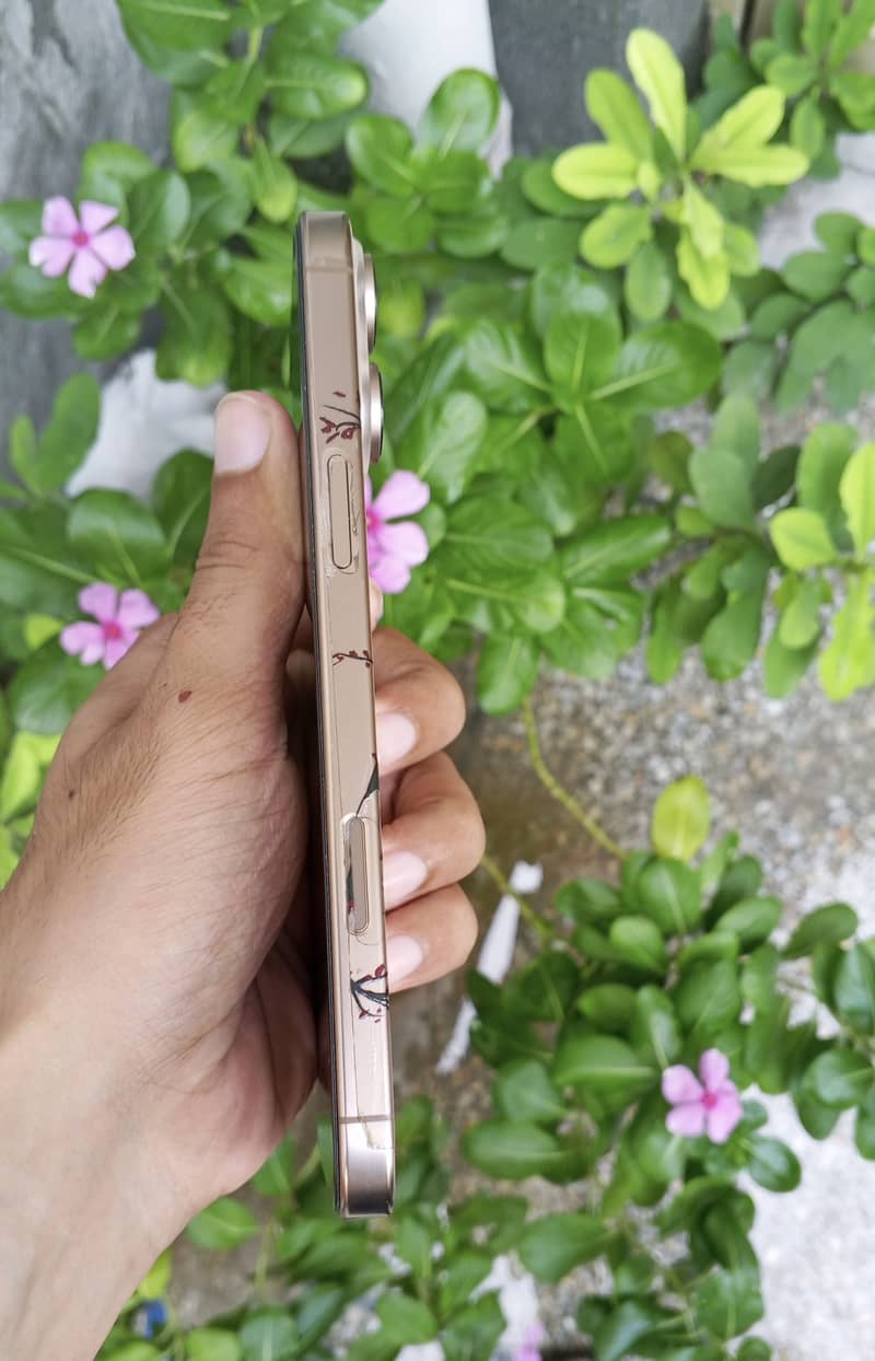 Apple iPhone 16 Pro Max 1