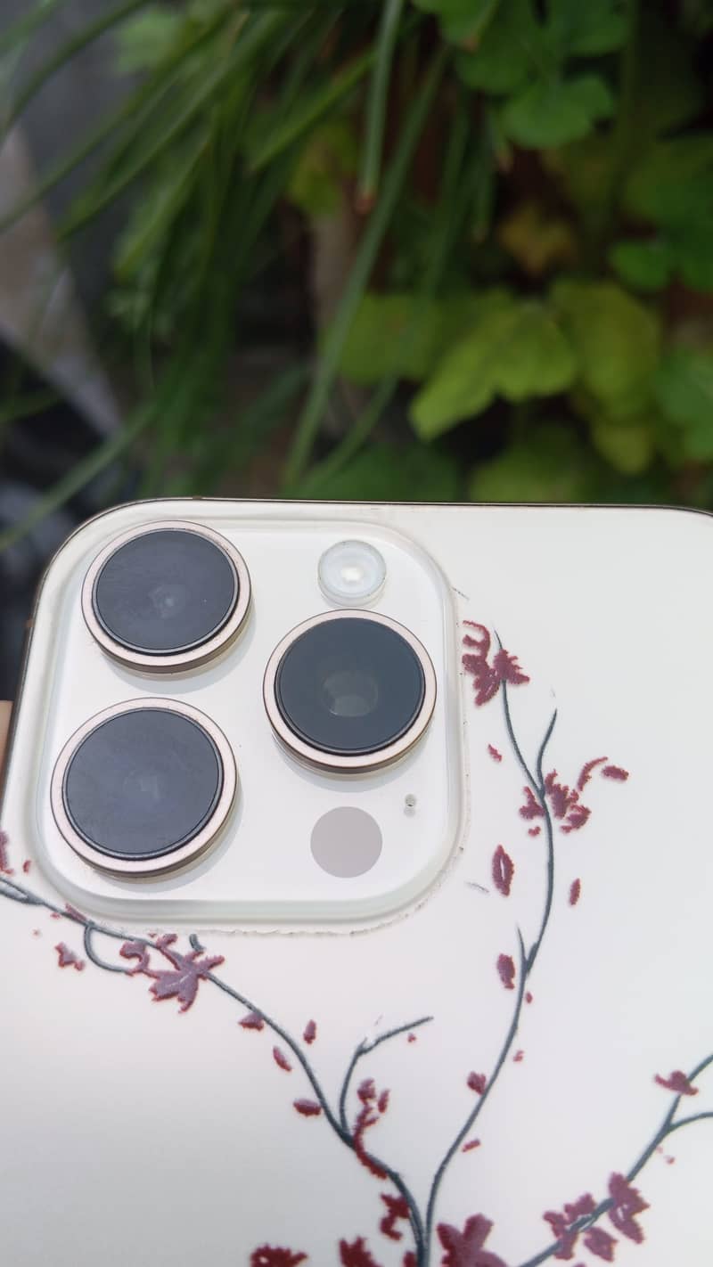 Apple iPhone 16 Pro Max 2