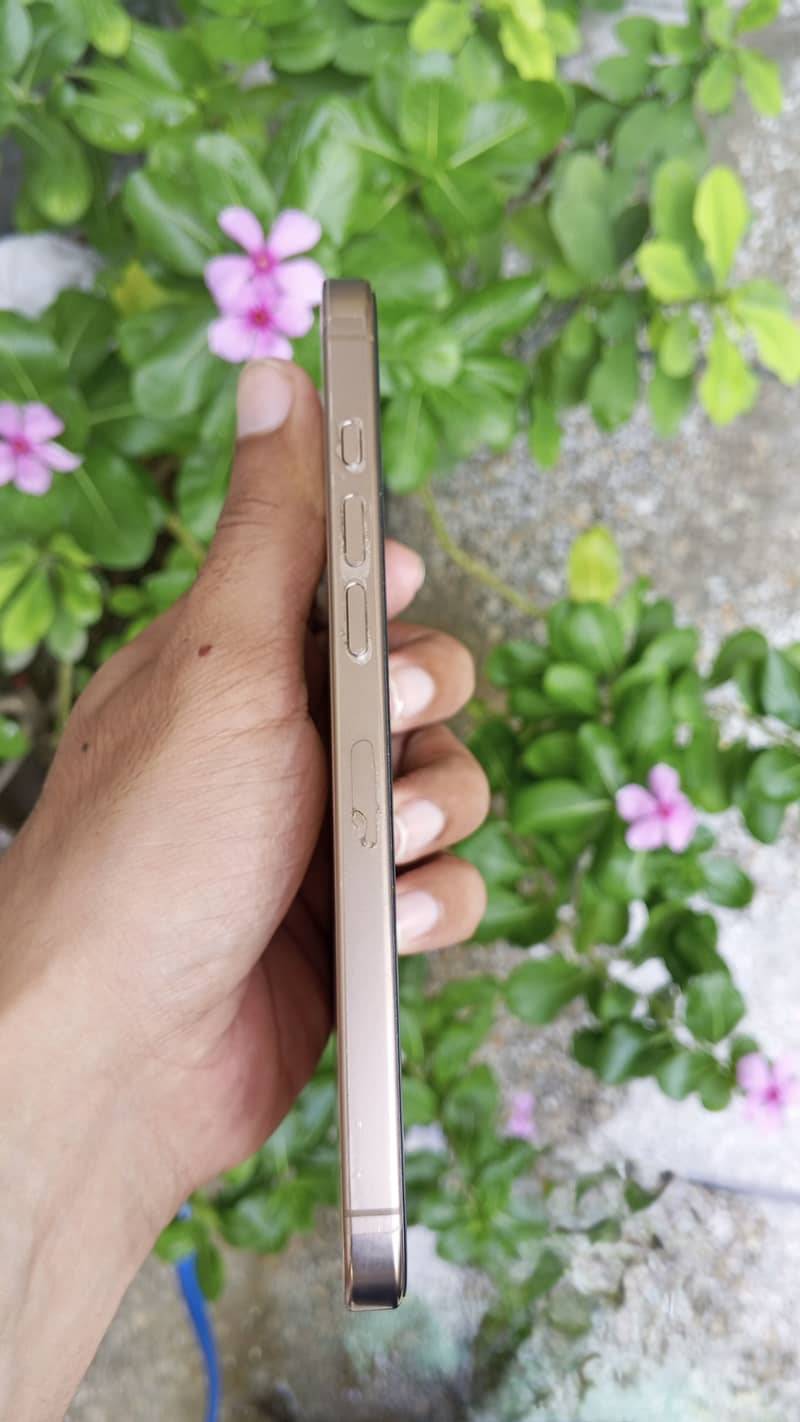 Apple iPhone 16 Pro Max 6