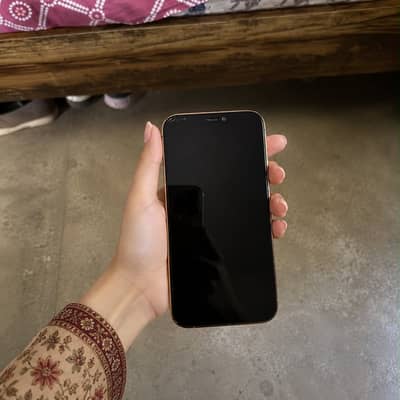 Apple iPhone 12 Pro