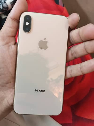 Apple iPhone XS