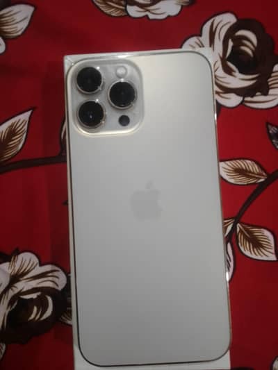 Apple iPhone 13 Pro Max