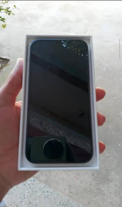 Apple iPhone 12