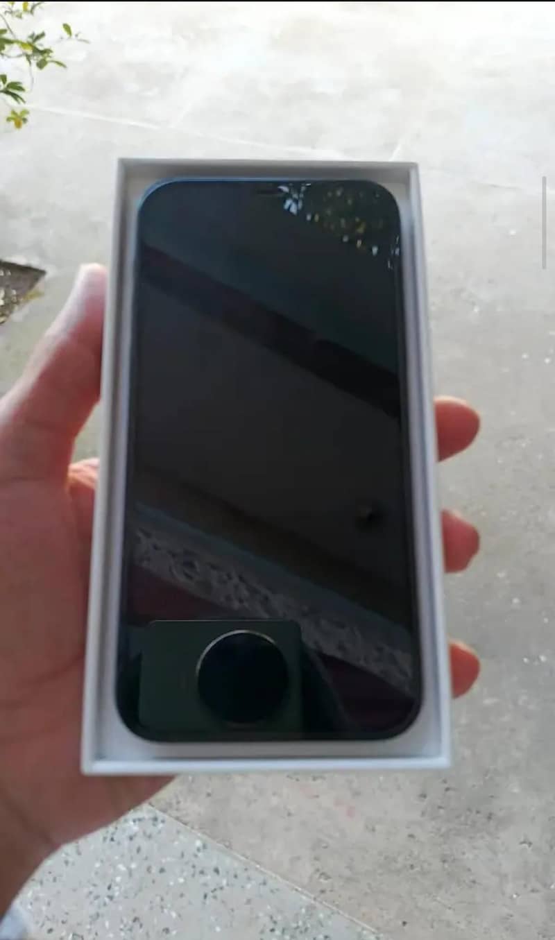Apple iPhone 12 0