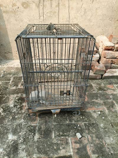 3 Cages 10/9 condition