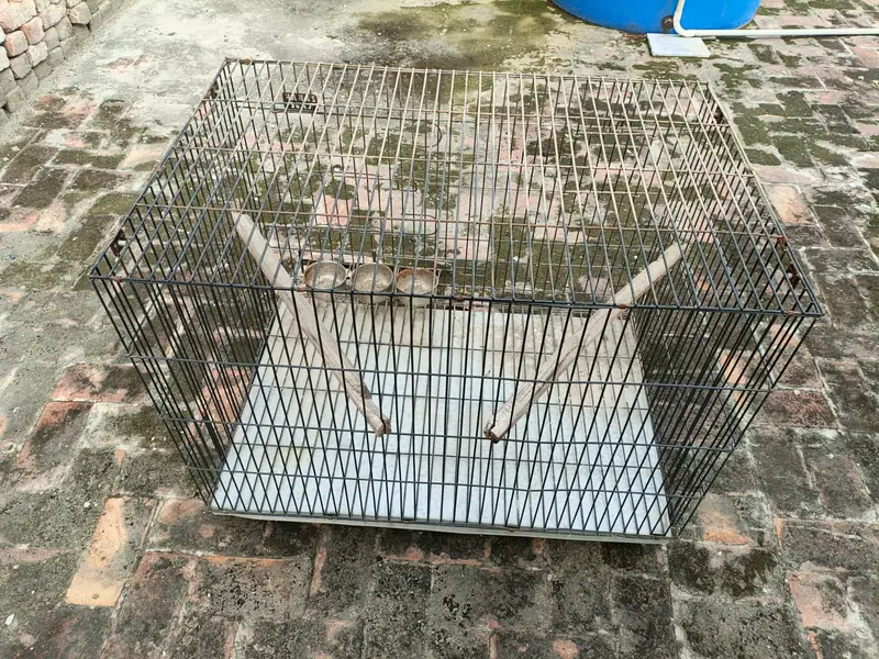 3 Cages 10/9 condition — photo 2