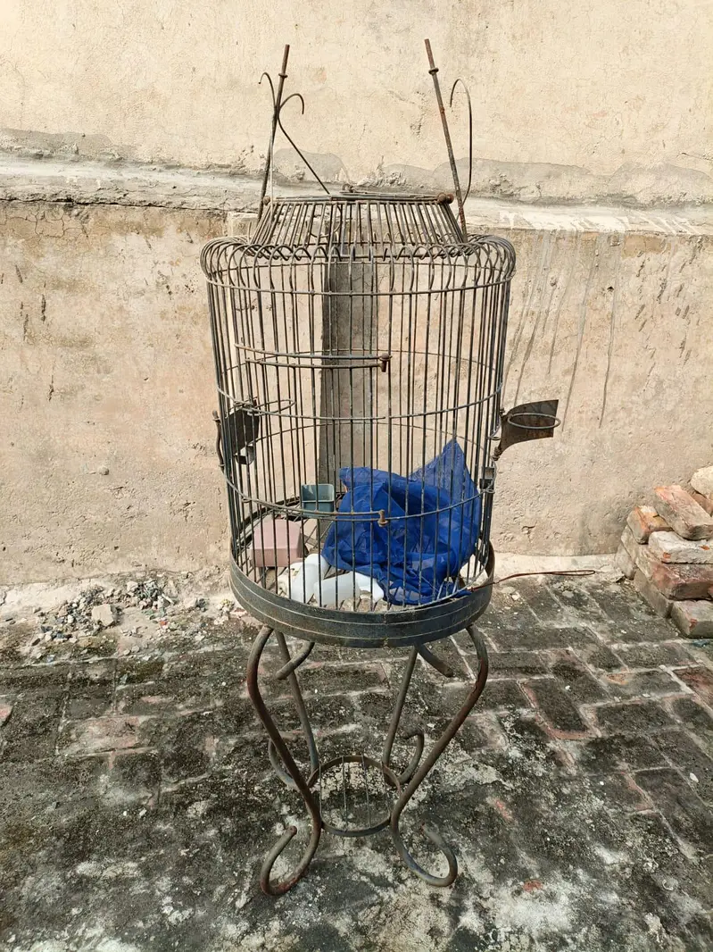 3 Cages 10/9 condition — photo 3