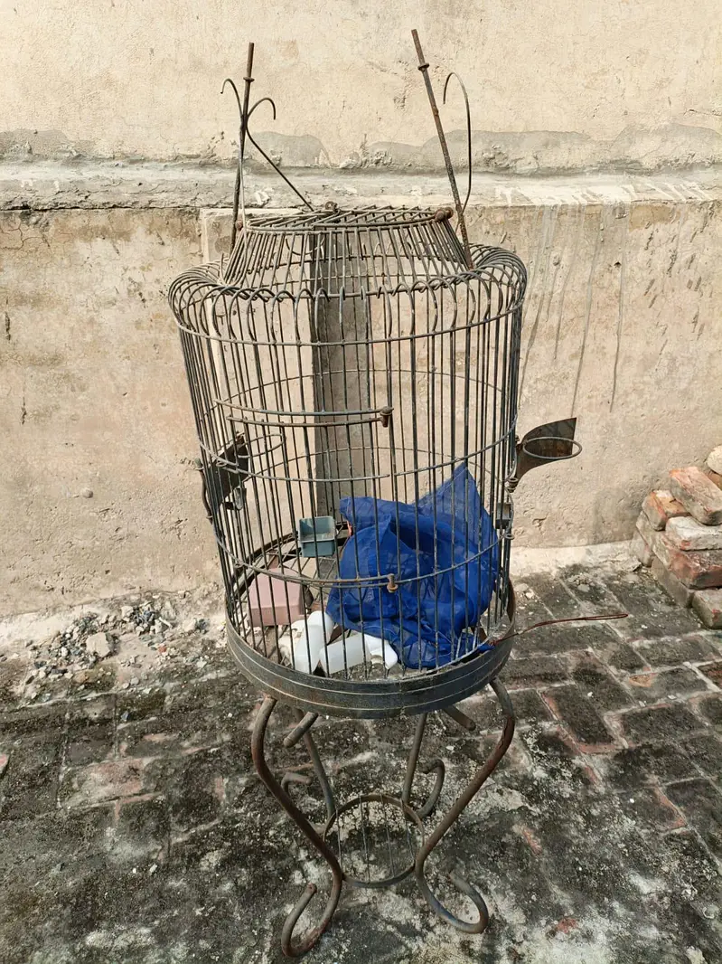 3 Cages 10/9 condition — photo 4