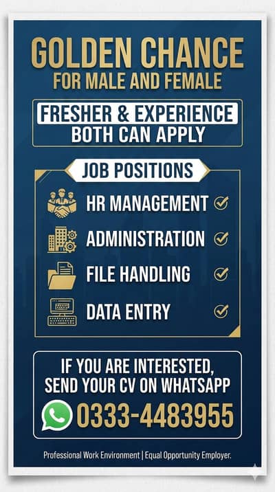 opportunity for fresher
