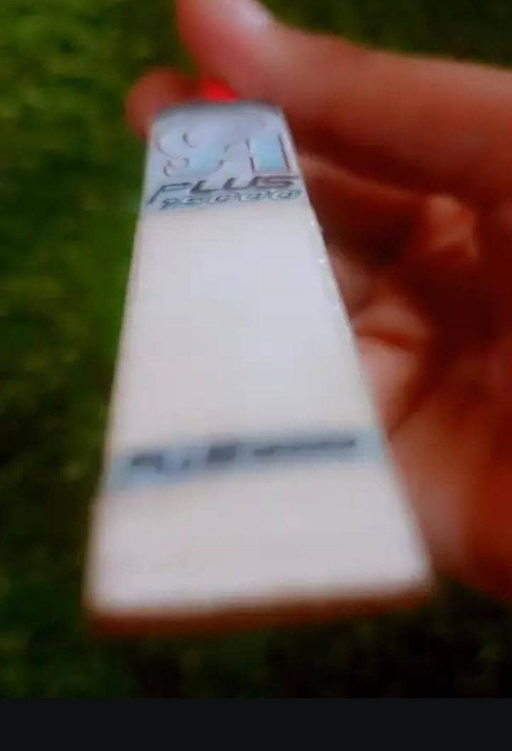 Mini bat 1