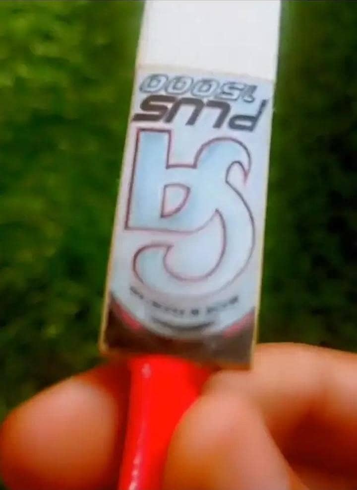 Mini bat 2