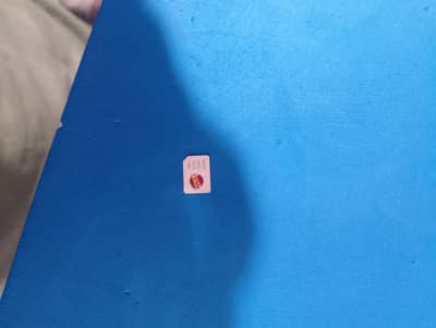 premium number 804 included