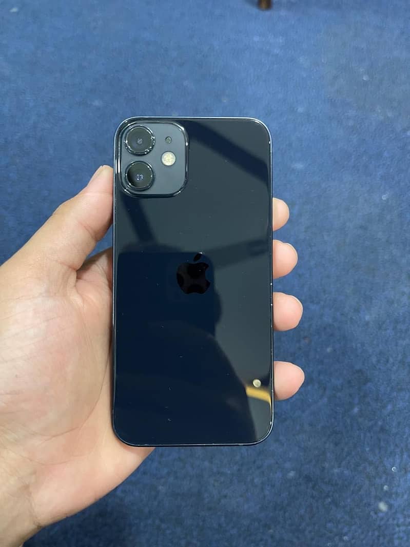 Apple iPhone 12 mini 0