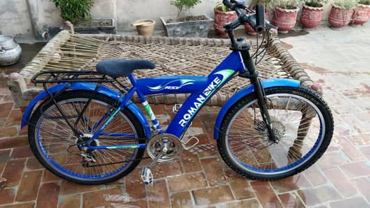 Roman Bike RS1 26″ Bicycle – Good Condition
