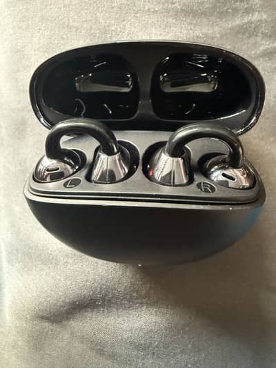 Earclips