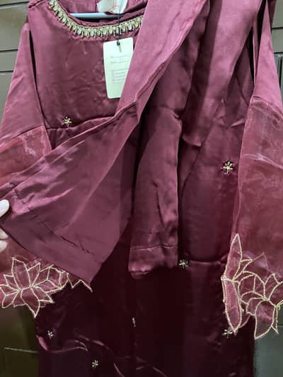 Silk embrioded dress