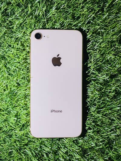 Apple iPhone 8