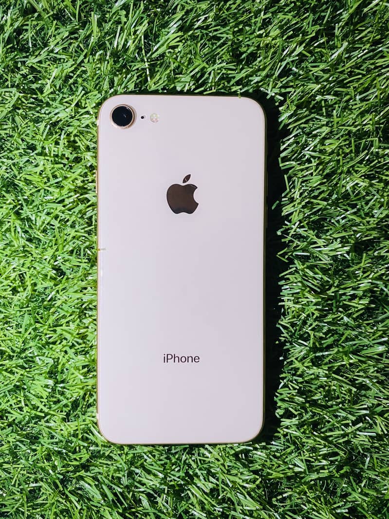 Apple iPhone 8 0