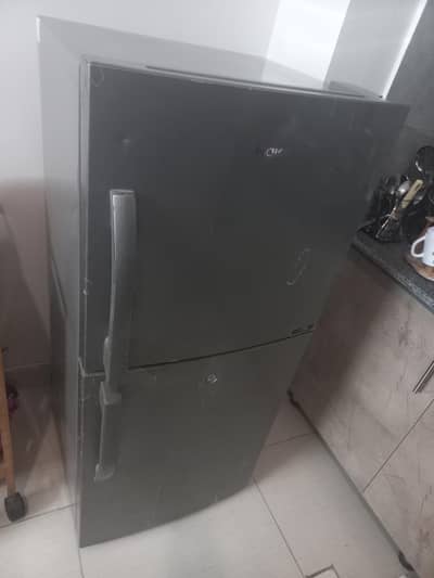 Medium sized fridge with freezer