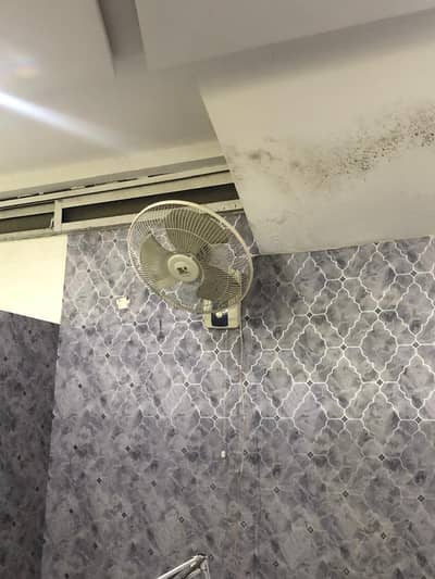 bracket fans for sale