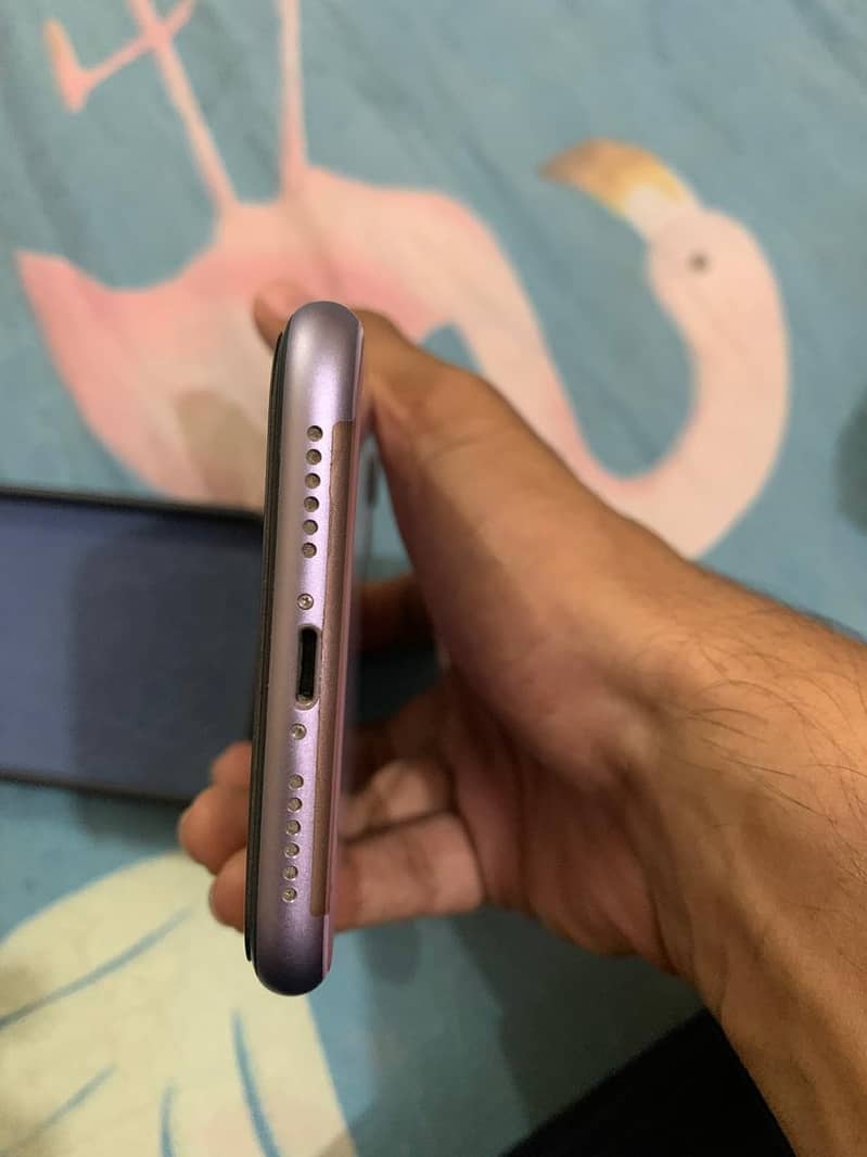 Apple iPhone 11 2