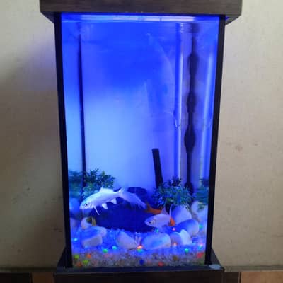 Complete Aquarium Setup for Sale – Ready to Use!