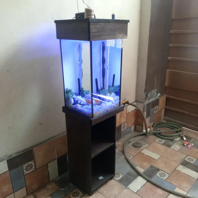 Complete Aquarium Setup for Sale – Ready to Use! — photo 3