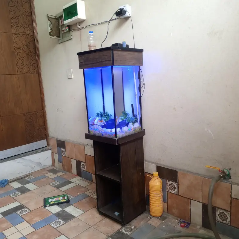 Complete Aquarium Setup for Sale – Ready to Use! — photo 4