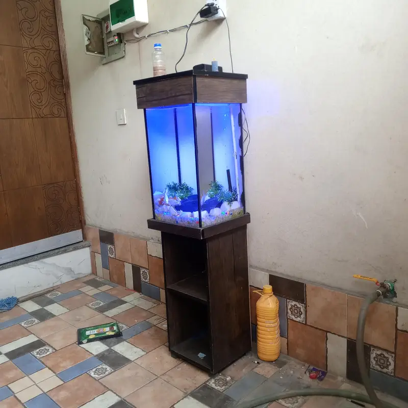 Complete Aquarium Setup for Sale – Ready to Use! — photo 5