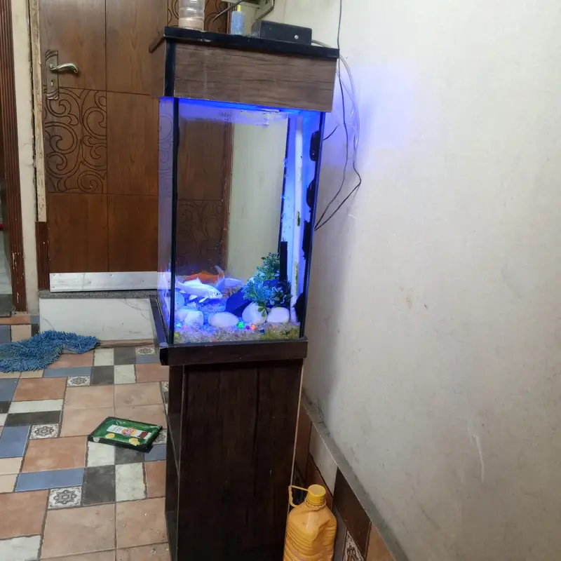 Complete Aquarium Setup for Sale – Ready to Use! — photo 6