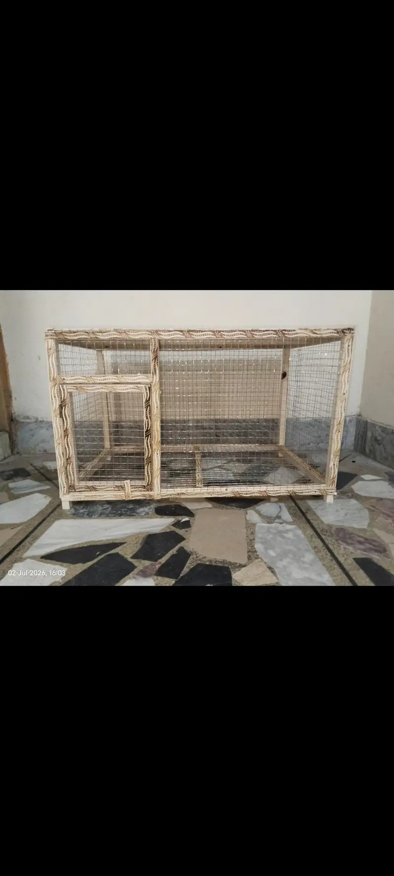 Healthy and Active Chicken Pair With Cage For Sale — photo 8