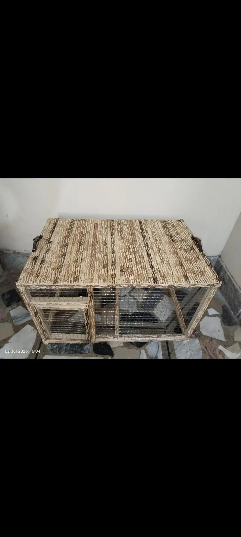 Healthy and Active Chicken Pair With Cage For Sale — photo 9