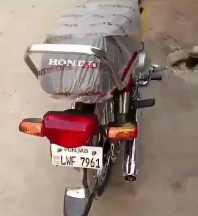 03405817942 What's app number