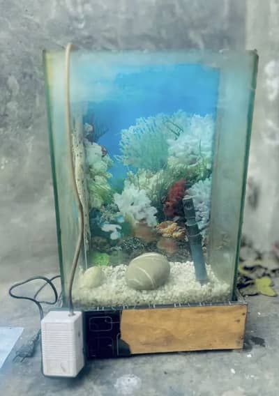 Aquarium