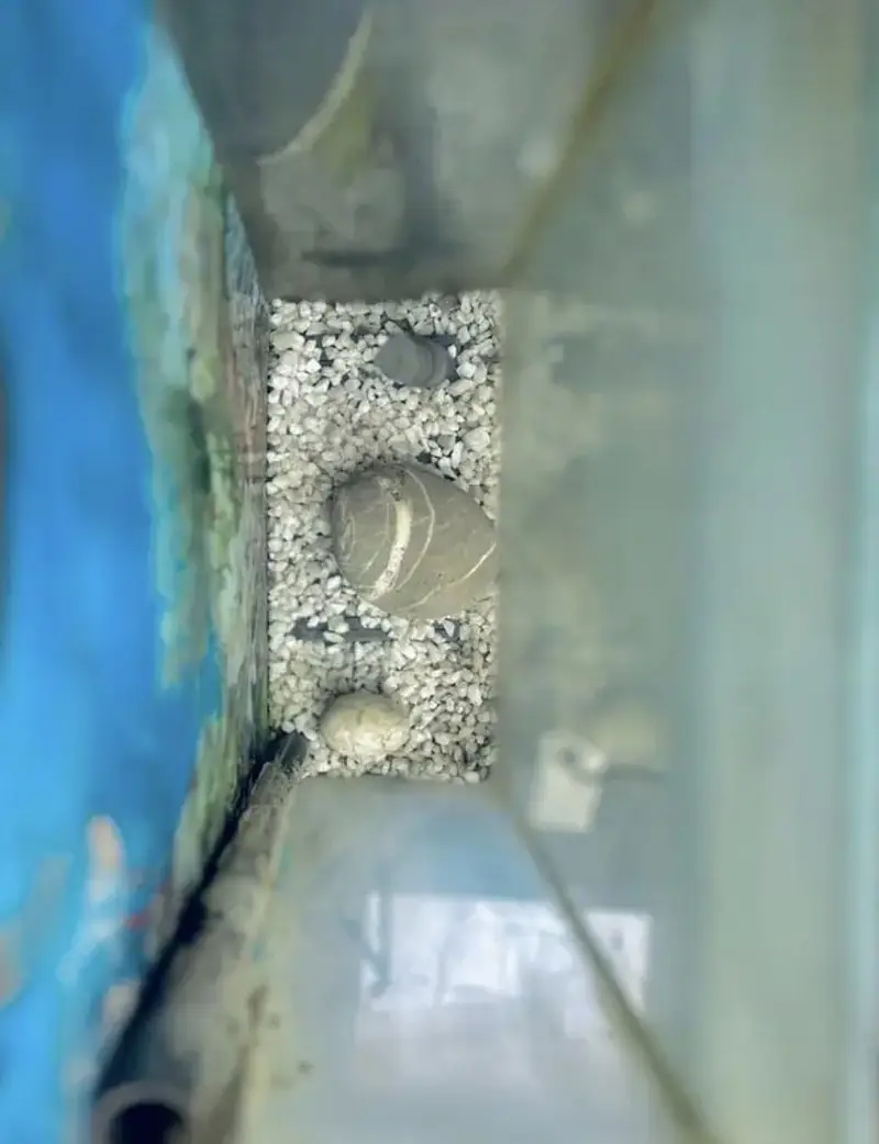 Aquarium — photo 2