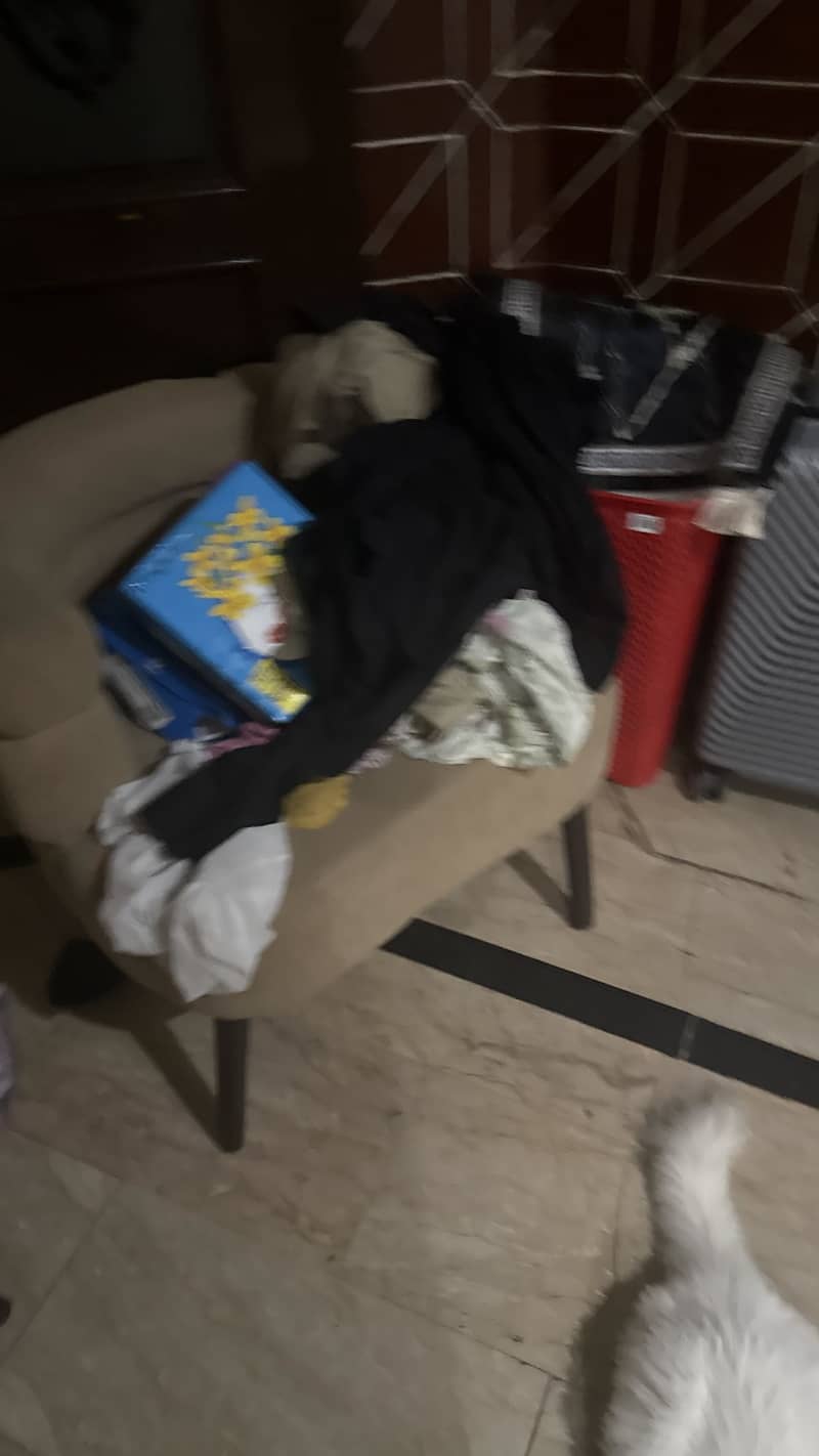 Sofa chairs 0