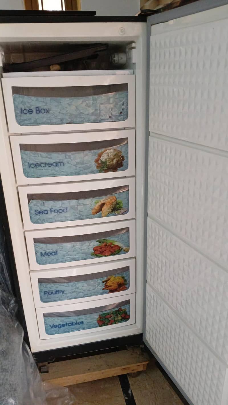 Freezer 1