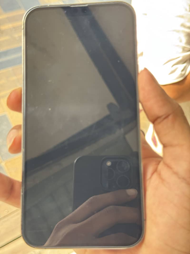 Apple iPhone 13 Pro Max 1