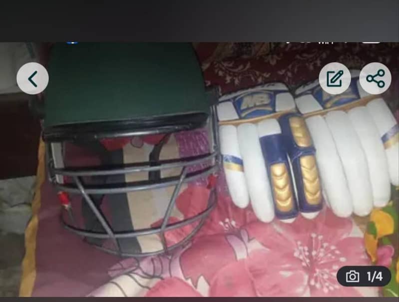 cricket items 0