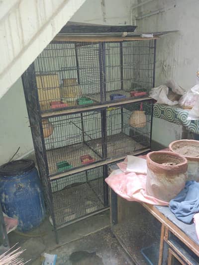 Bird cage 6 box available in good condition interested people's contac