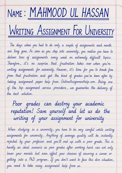 professional writer