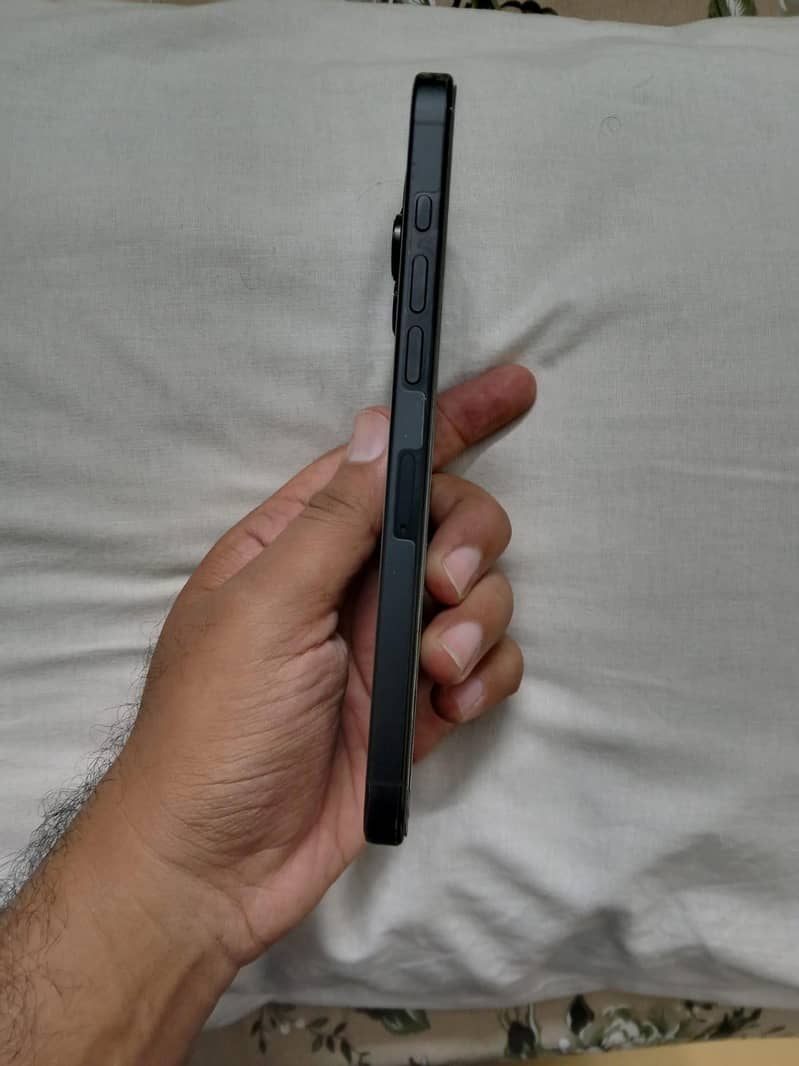 Apple iPhone 16 Pro Max 2