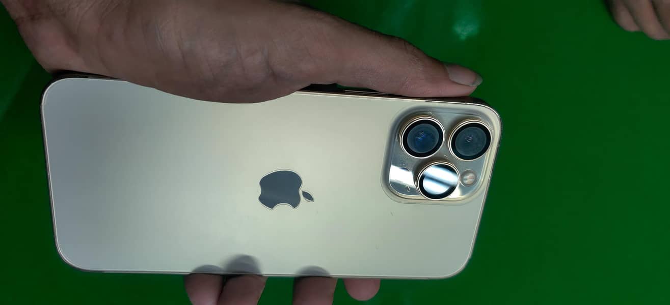 Apple iPhone 13 Pro Max 2