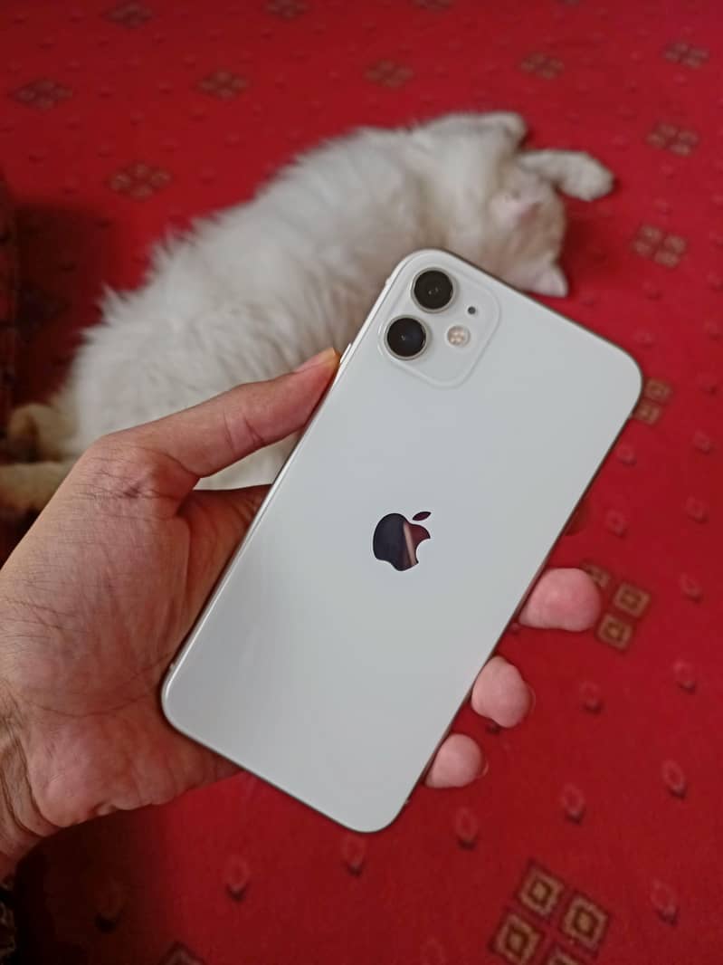 Apple iPhone 11 0