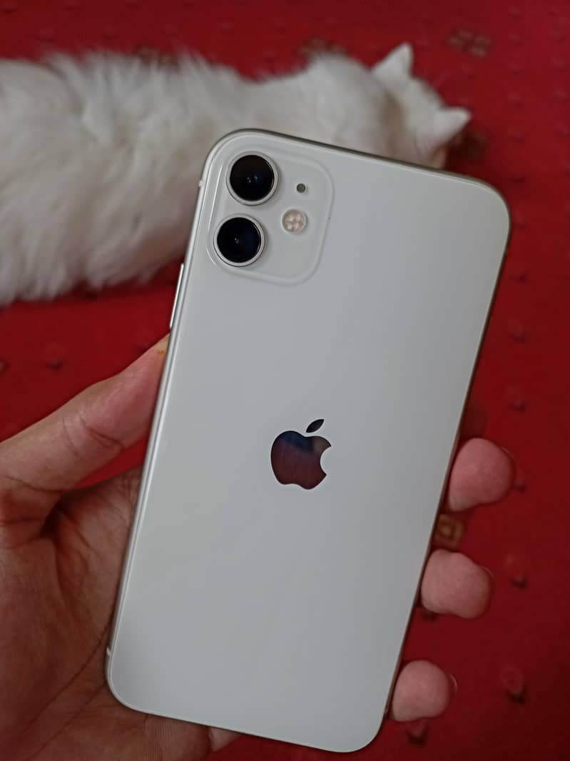 Apple iPhone 11 1