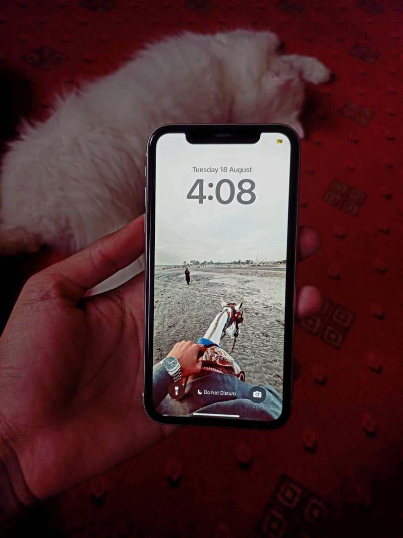 Apple iPhone 11 2