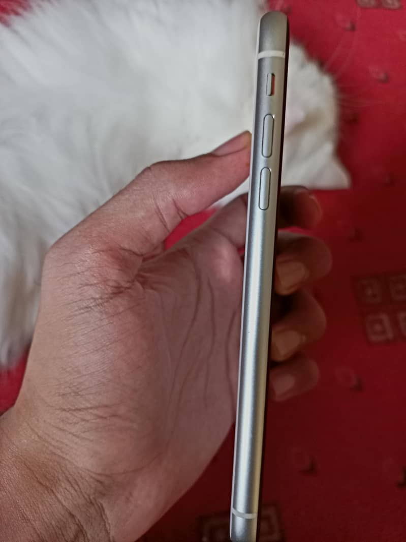 Apple iPhone 11 3