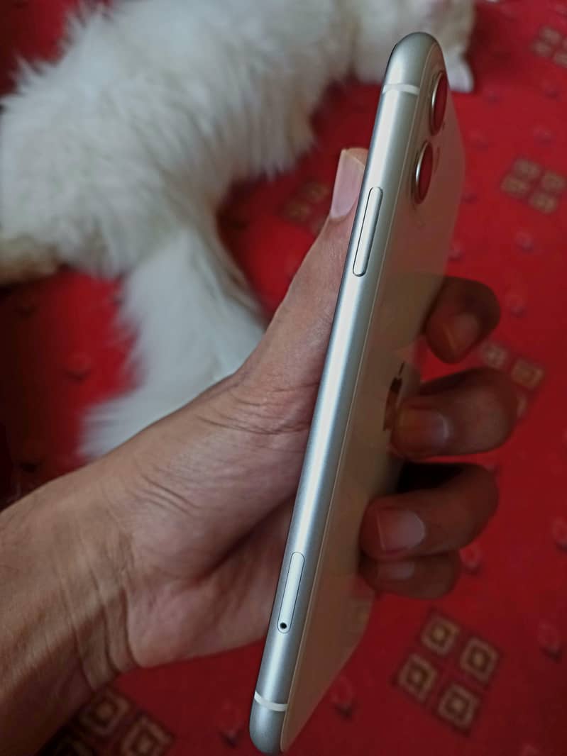 Apple iPhone 11 4